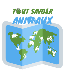 logo-Tout Savoir Animaux