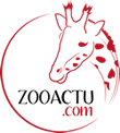 logo-ZooActu
