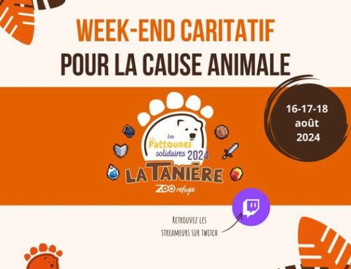 Les Pattounes solidaires: l’événement caritatif sur Twitch au profit de la cause animale