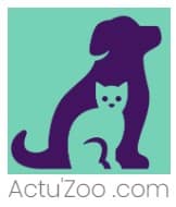 logo-Actuzoo.com