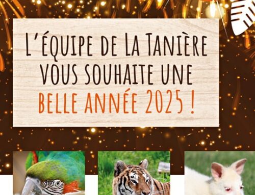 L’équipe de La Tanière vous souhaite une belle année 2025